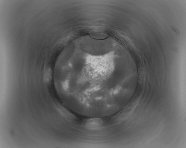 X0000113300077200910051051