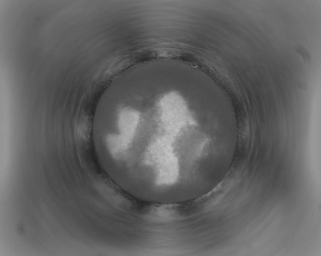 X0000113300078200910051051