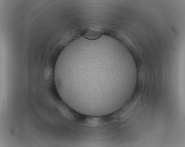 X0000113300079200910051051