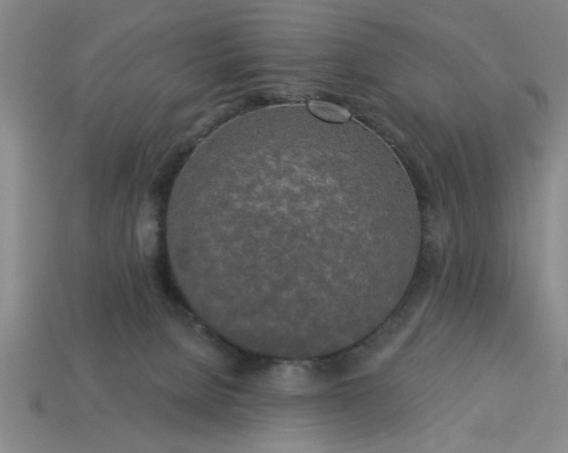 X0000113300080200910051051