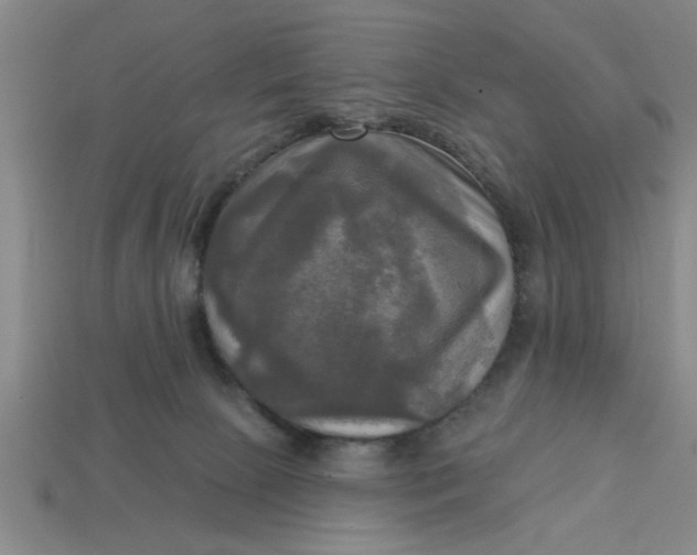 X0000113300081200910051051