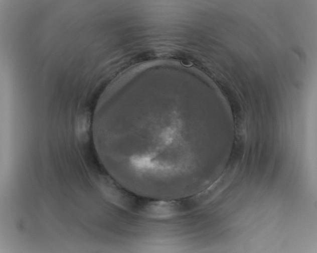 X0000113300082200910051051