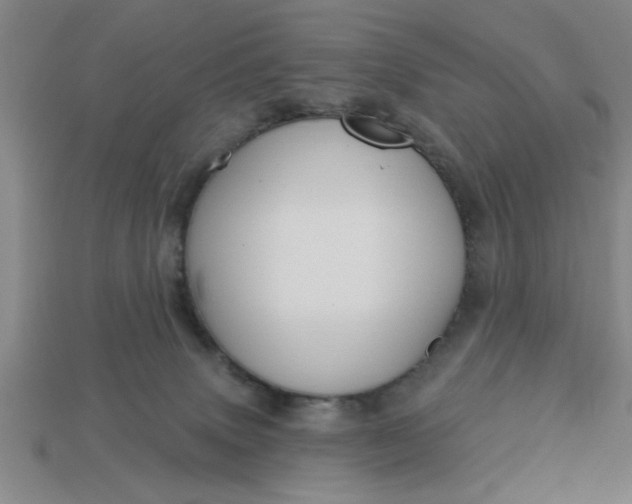 X0000113300083200910051051