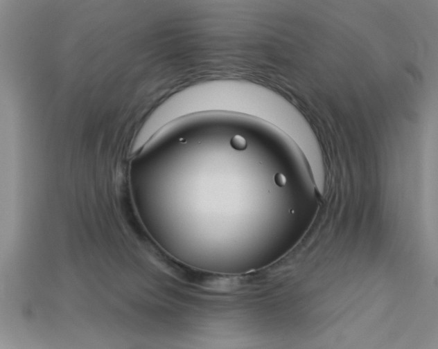 X0000113300084200910051051