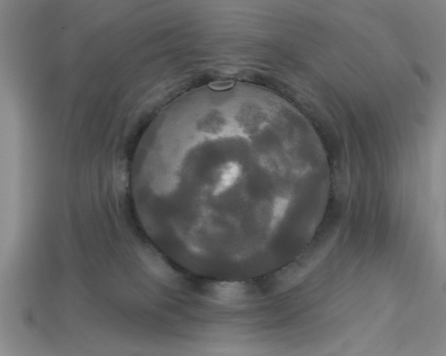 X0000113300085200910051051