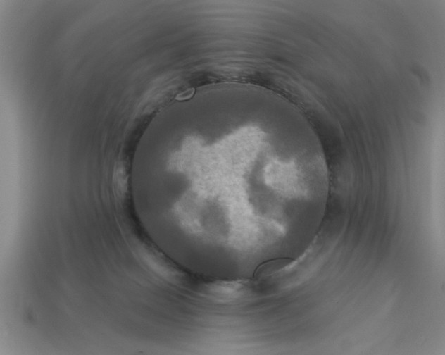 X0000113300086200910051051