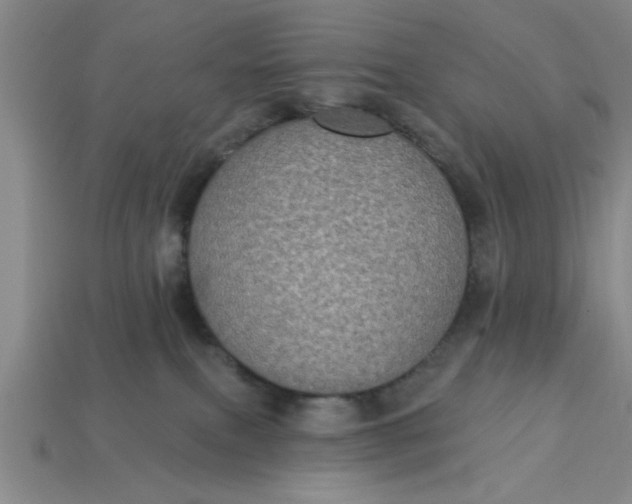 X0000113300087200910051051