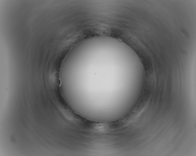 X0000113300088200910051051