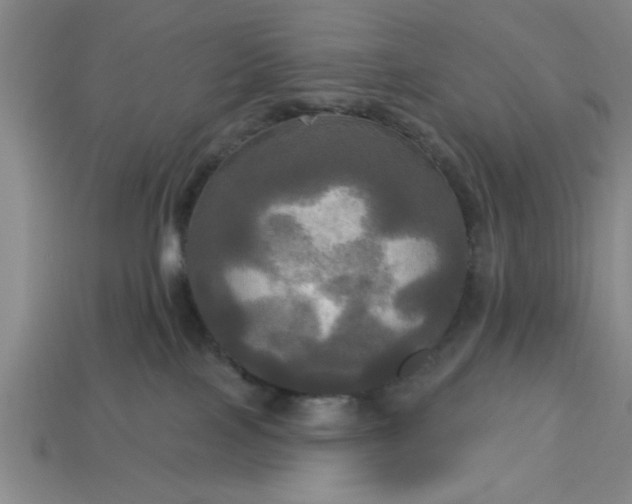 X0000113300089200910051051