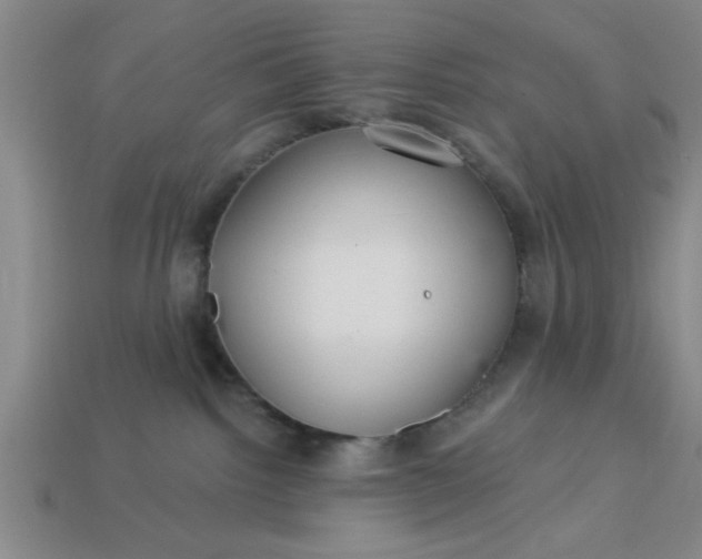 X0000113300092200910051051