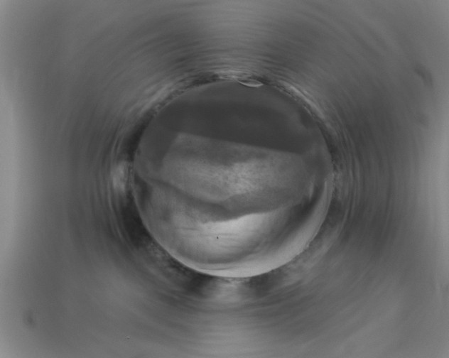 X0000113300093200910051051