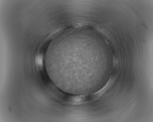 X0000113300094200910051051