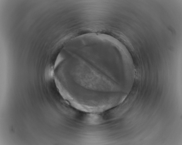X0000113300095200910051051
