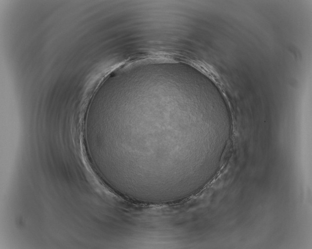 X0000113300097200910051051