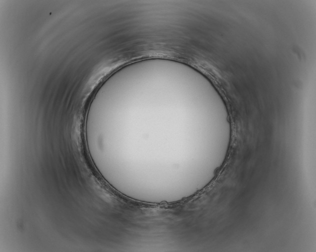 X0000113300098200910051051