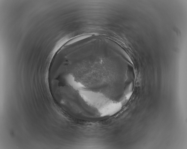 X0000113300099200910051051