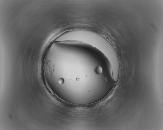 X0000113300101200910051051