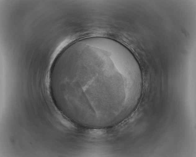 X0000113300102200910051051