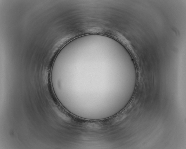 X0000113300106200910051050