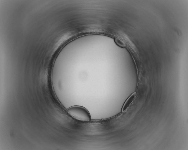 X0000113300108200910051050