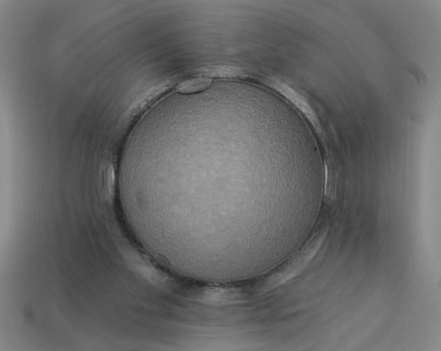 X0000113300109200910051050