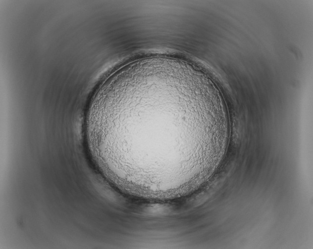X0000113300111200910051050