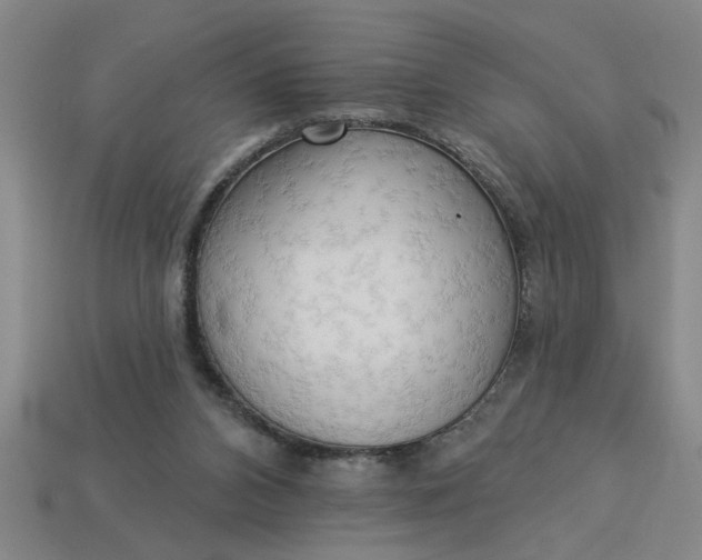 X0000113300112200910051050