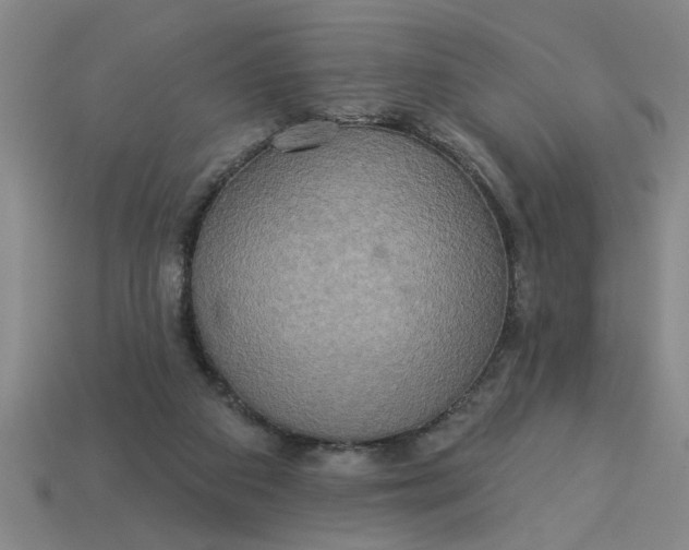 X0000113300113200910051050