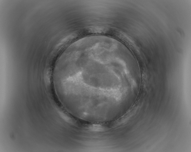 X0000113300114200910051050