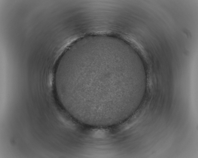 X0000113300115200910051050