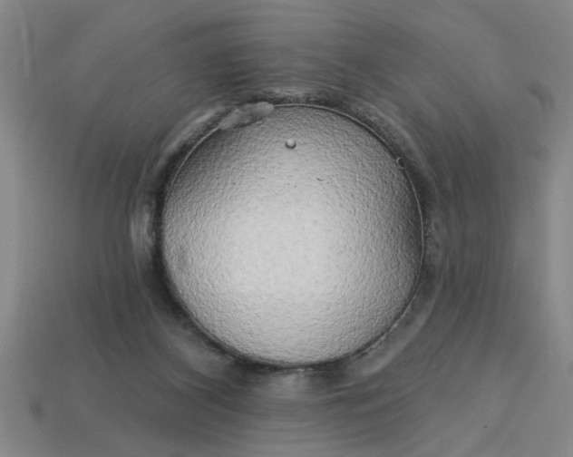 X0000113300116200910051050