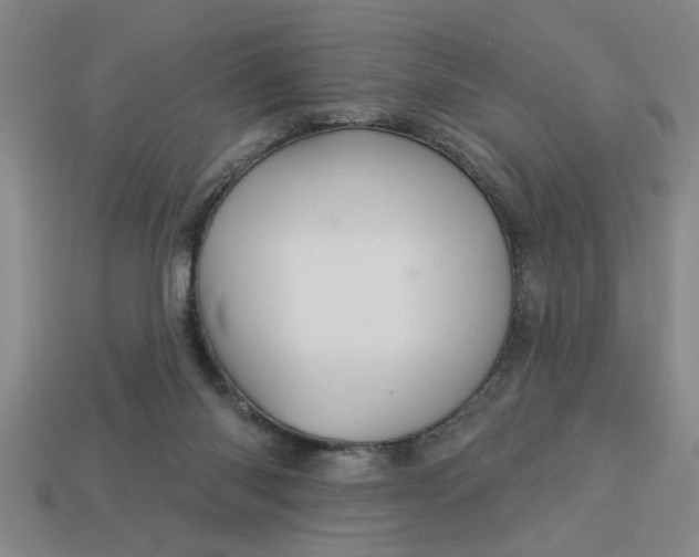 X0000113300118200910051050