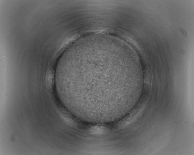 X0000113300119200910051050