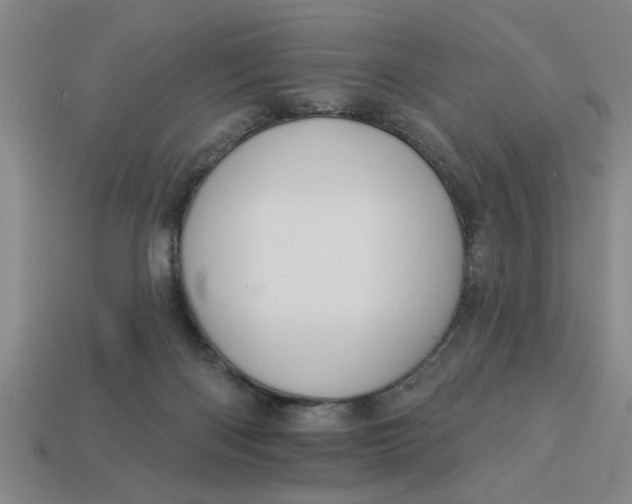 X0000113300122200910051050