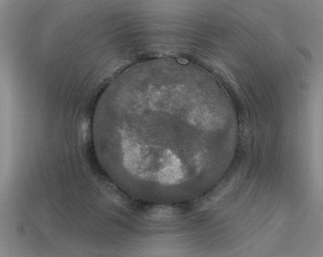 X0000113300123200910051050