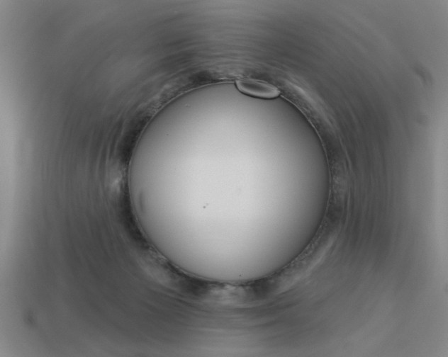 X0000113300125200910051050