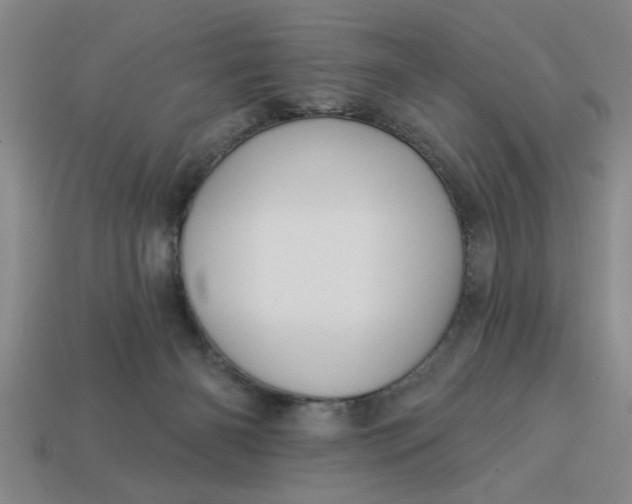 X0000113300126200910051050