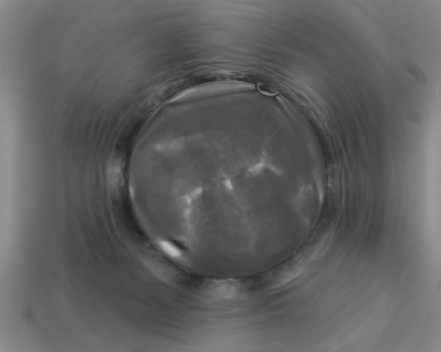 X0000113300127200910051050