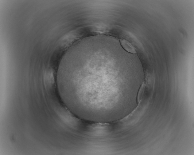 X0000113300128200910051050