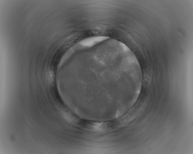 X0000113300130200910051050
