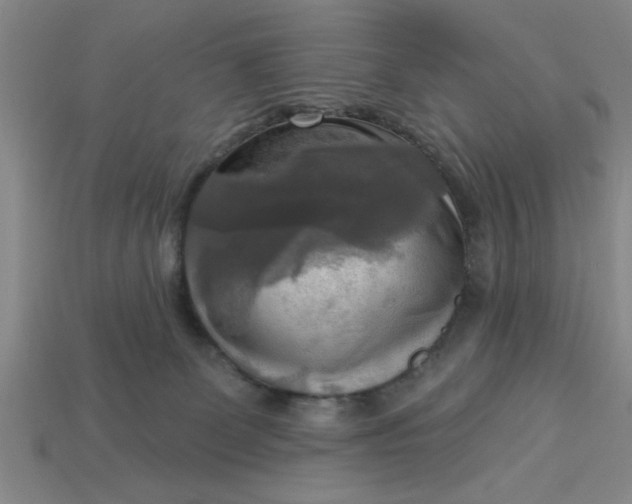 X0000113300131200910051050