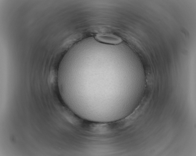 X0000113300132200910051050