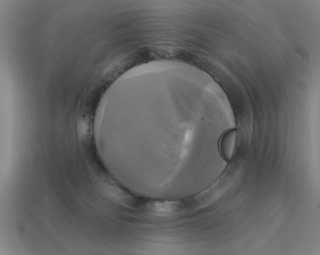X0000113300134200910051050