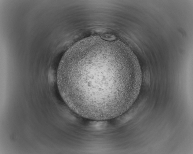 X0000113300135200910051050