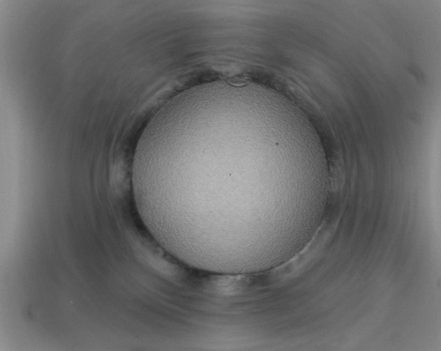 X0000113300136200910051050