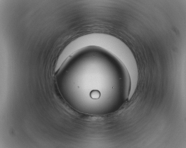 X0000113300137200910051050