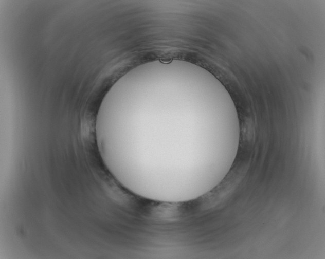 X0000113300138200910051050