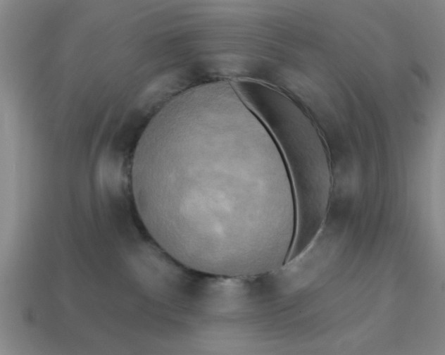 X0000113300140200910051050