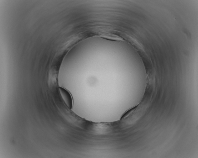 X0000113300141200910051050