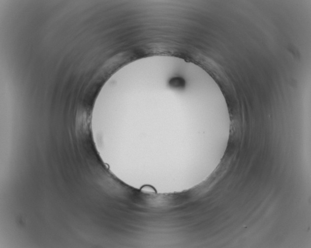 X0000113300142200910051050